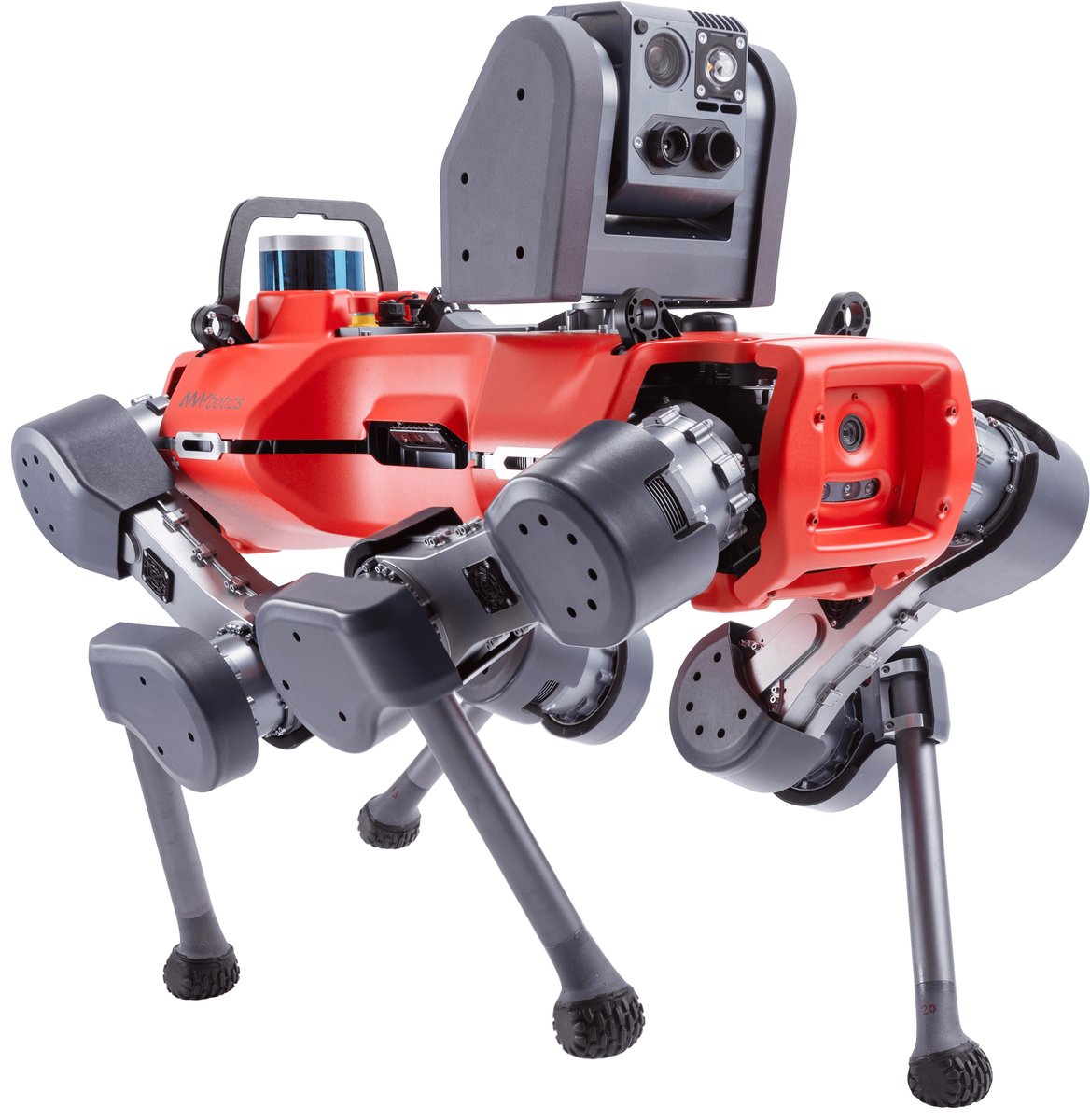 ANYbotics ANYmal D