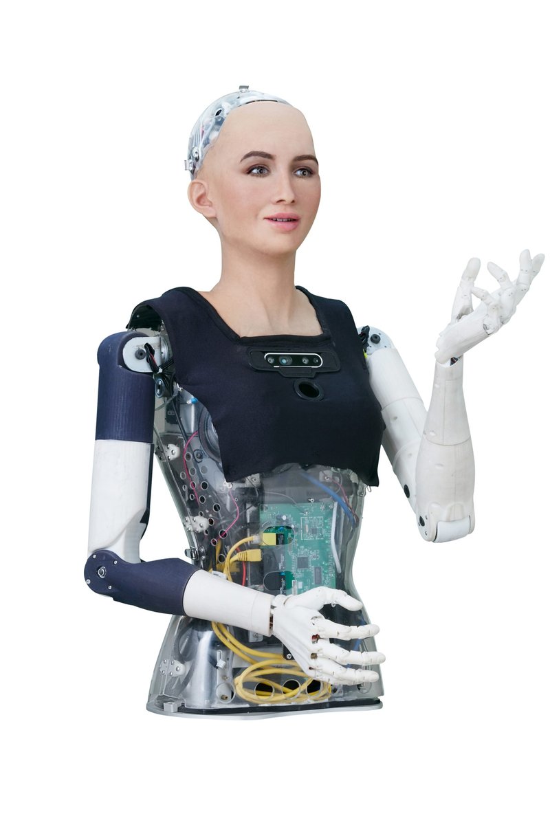 Hanson Robotics Sophia robot Standard - Image 5