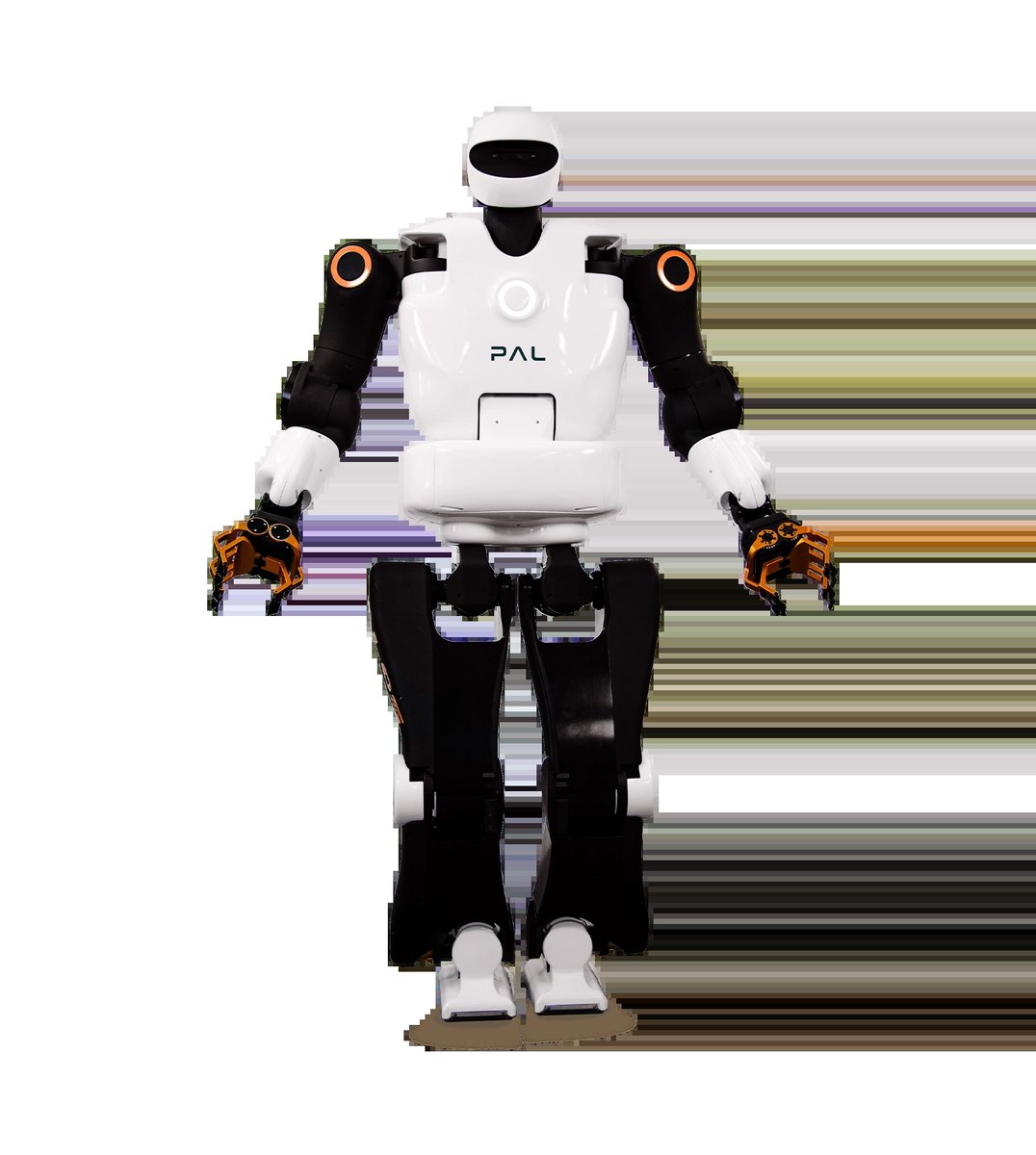 PAL Robotics TALOS robot Standard - Image 4