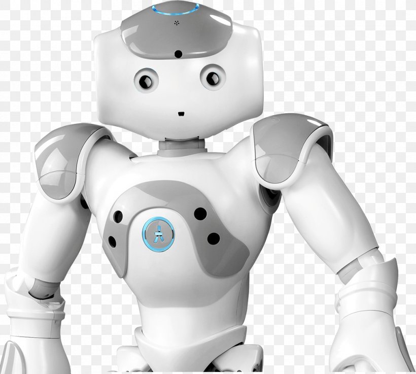 SoftBank Robotics NAO robot Standard - Image 5