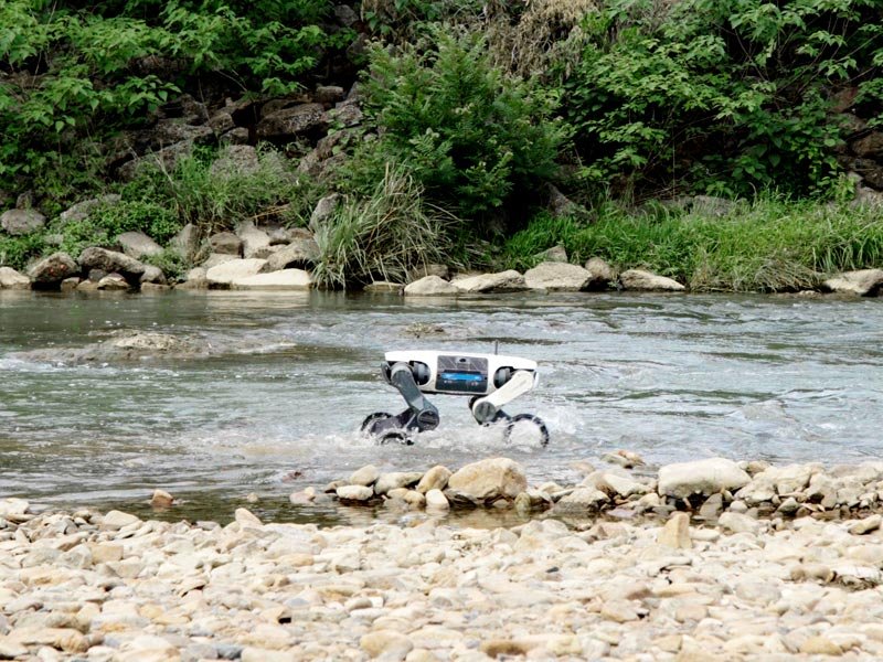 DEEP Robotics LYNX S10