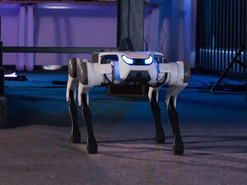 DEEP Robotics Lite3