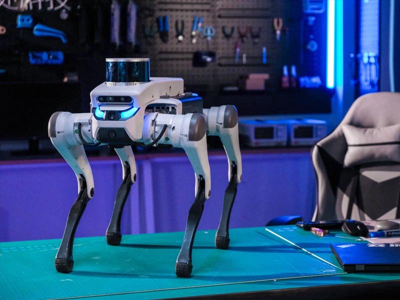 DEEP Robotics Lite3