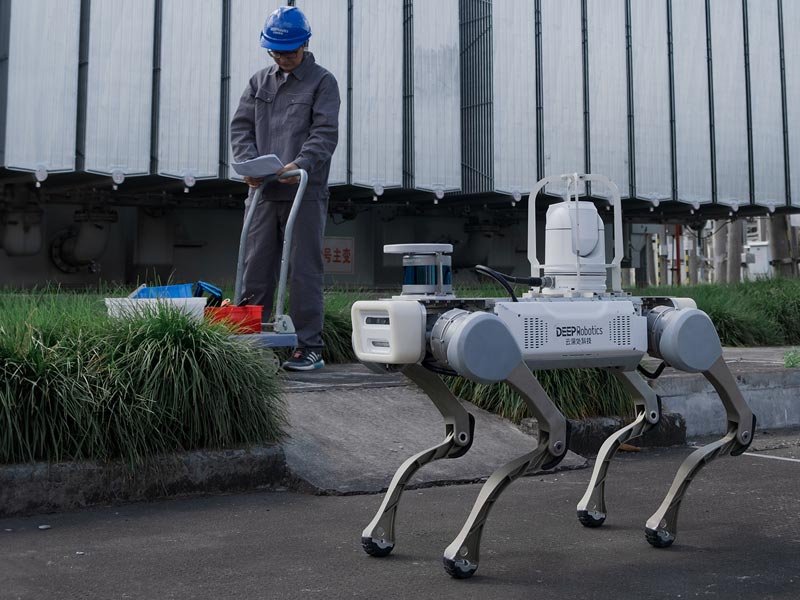 DEEP Robotics X20